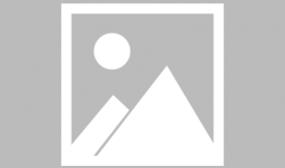 有什么后宫动漫好看,十大热门后宫作品，让你沉浸于浪漫的宫廷世界