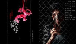 水中花电视剧演员表,实力派明星齐聚演绎情感纠葛